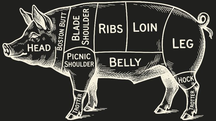 Butcher's chart of a pig showing where the shoulder, ribs, loin, belly, leg and hock cuts come from
